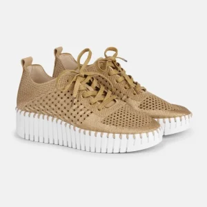 Sneakers TULIP4271 | Latte White